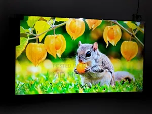 Brand : Mango TV, 55 Inch