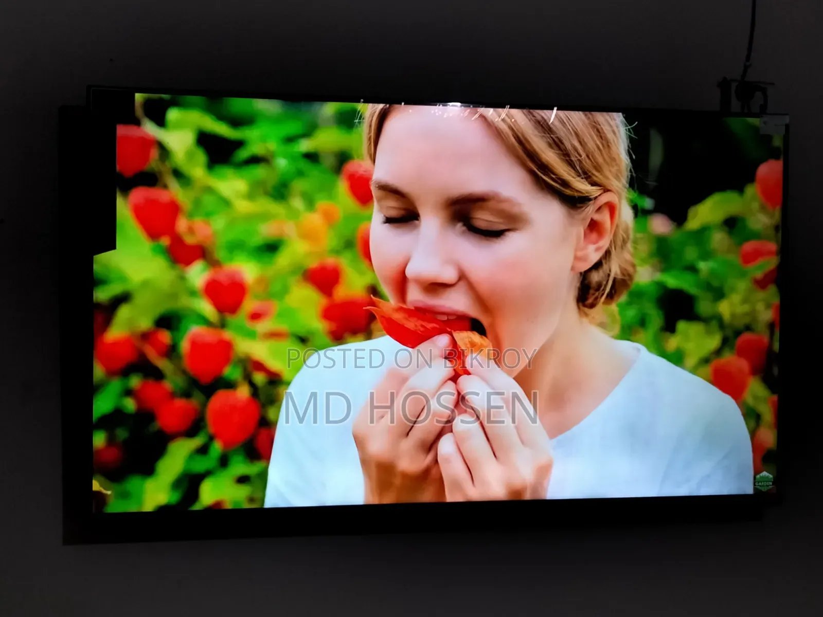 Brand : Mango TV, 55 Inch
