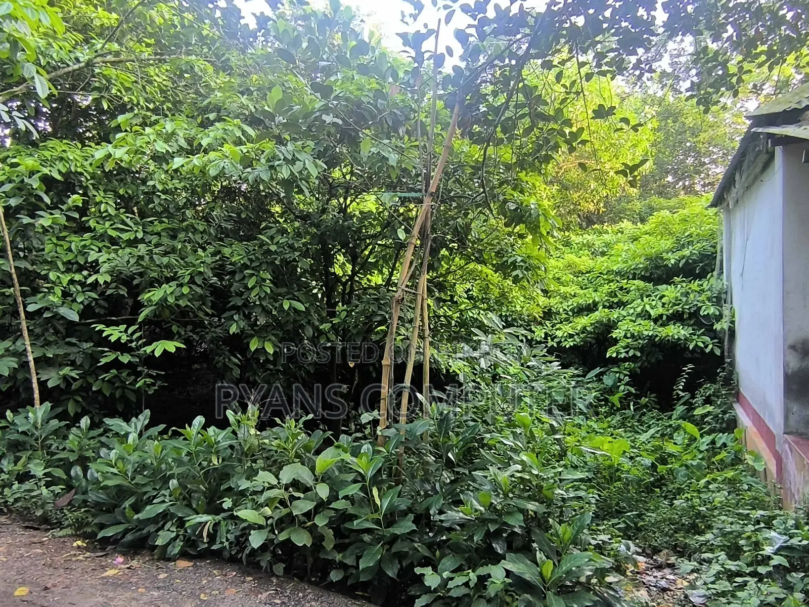 6-7 decimals of land for sale near Sharifpur Madrasah by the roadside
