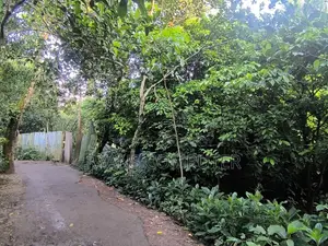 6-7 decimals of land for sale near Sharifpur Madrasah by the roadside