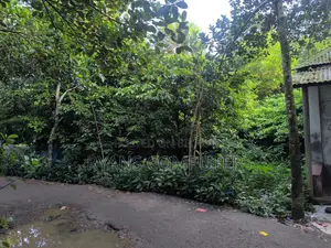 6-7 decimals of land for sale near Sharifpur Madrasah by the roadside