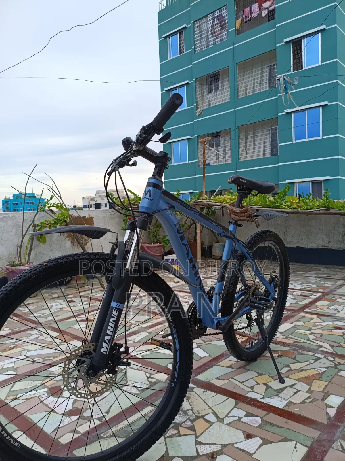 Marine Cycle Fresh Condition.