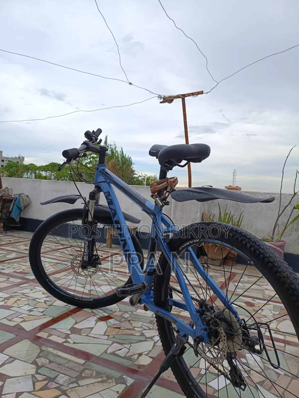 Marine Cycle Fresh Condition.