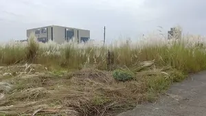 বসুন্ধরা এন ব্লক ৩ কাঠা জমি বিক্রয়