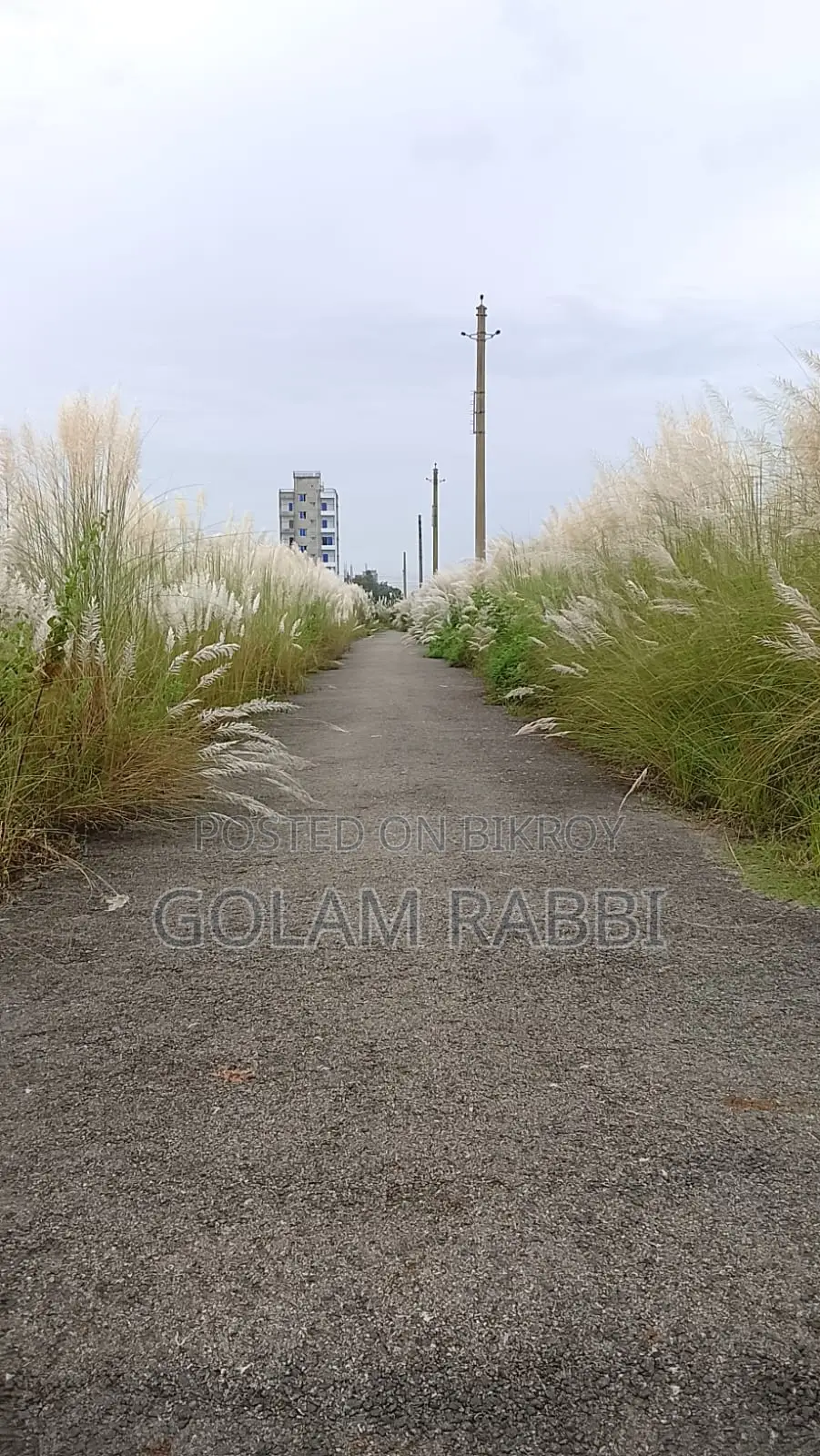 বসুন্ধরা এন ব্লক ৩ কাঠা জমি বিক্রয়