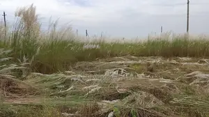 বসুন্ধরা এন ব্লক ৩ কাঠা জমি বিক্রয়