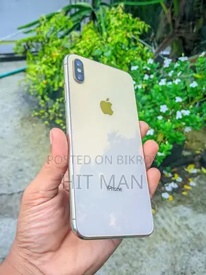 অ্যাপল আইফোন এক্সএস ম্যাক্স ২৫৬ জিবি গোল্ড