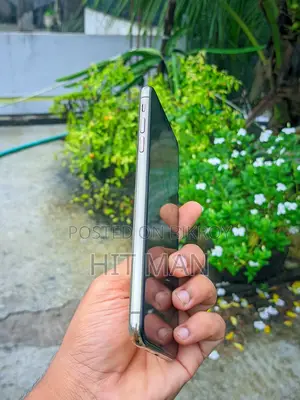 অ্যাপল আইফোন এক্সএস ম্যাক্স ২৫৬ জিবি গোল্ড