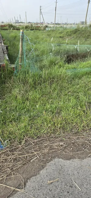 পূর্বাচল সেক্টর-৮ প্রবাসী ক্যাটাগরি ১০০ ফুট প্রশস্ত রাস্তা দক্ষিণমুখী কর্নার প্লট