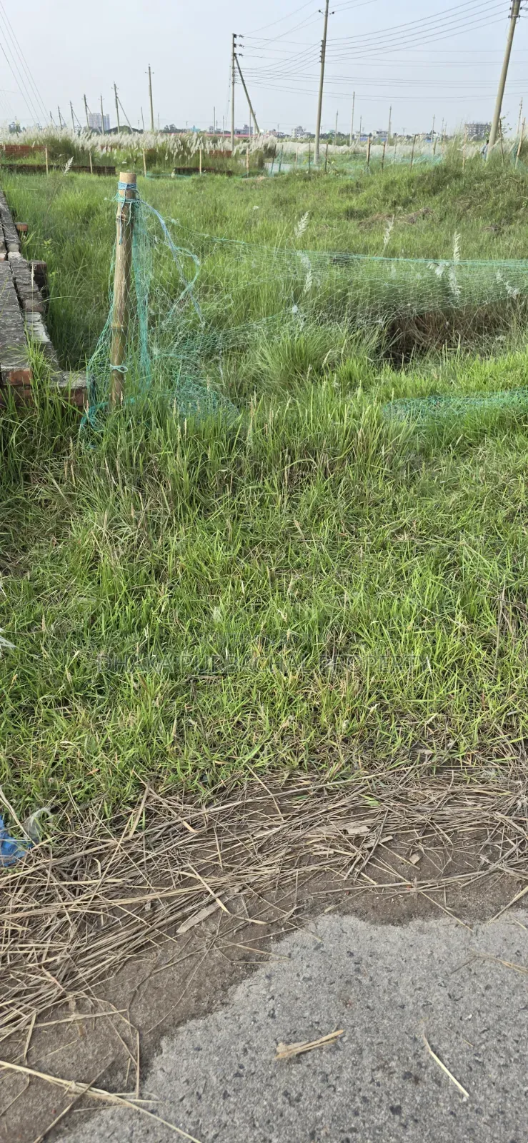 পূর্বাচল সেক্টর-৮ প্রবাসী ক্যাটাগরি ১০০ ফুট প্রশস্ত রাস্তা দক্ষিণমুখী কর্নার প্লট