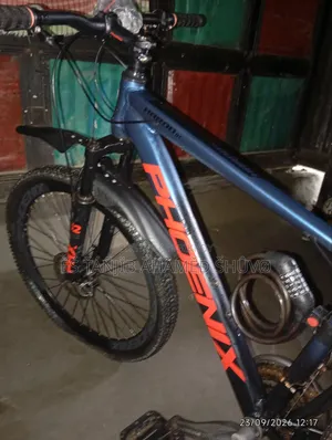 Original Phoenix Cycle for Sale. The cycle is completely fresh.