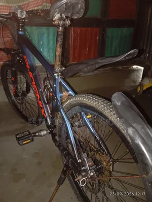 Original Phoenix Cycle for Sale. The cycle is completely fresh.