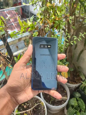 স্যামসাং গ্যালাক্সি এস১০ই ১২৮ জিবি ব্লু