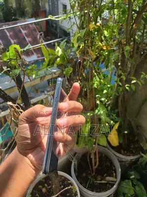 স্যামসাং গ্যালাক্সি এস১০ই ১২৮ জিবি ব্লু