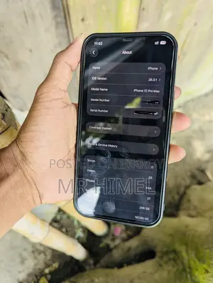 Apple iPhone 12 Pro Max 256 GB Blue