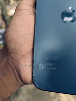 Apple iPhone 12 Pro Max 256 GB Blue
