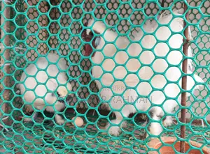 European Silkie Rooster and Hen Sale — One Pair