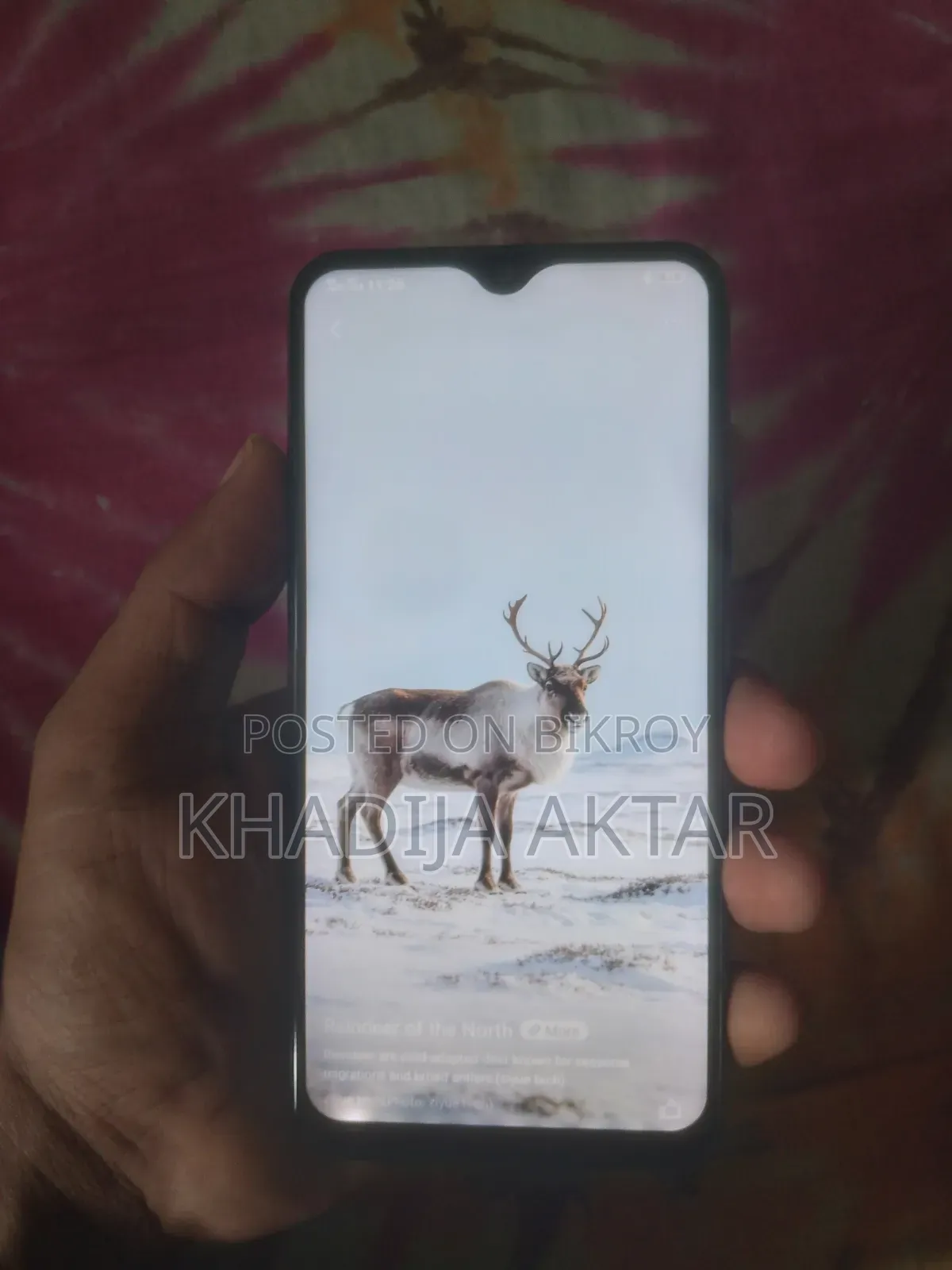 ভিভো ওয়াই ১১ -২০২৩ ১২৮ জিবি নীল