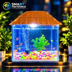 Aquarium Combo With Fish