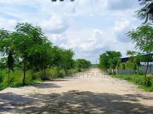 Land for sell