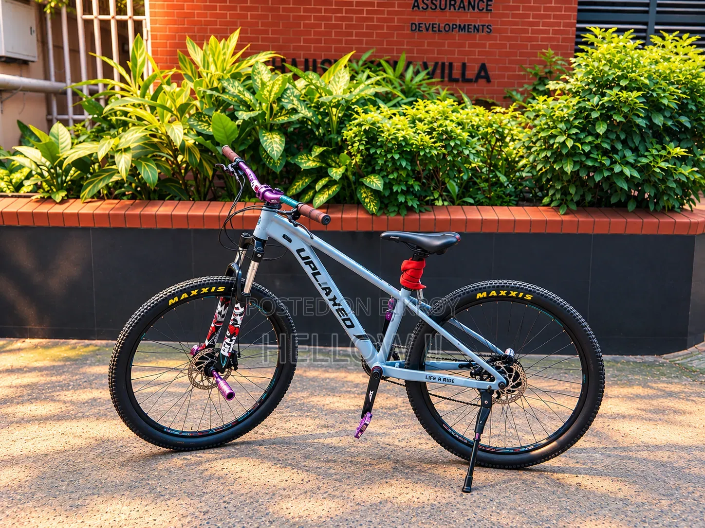 "UPLAYED" 26 Inch Cycle