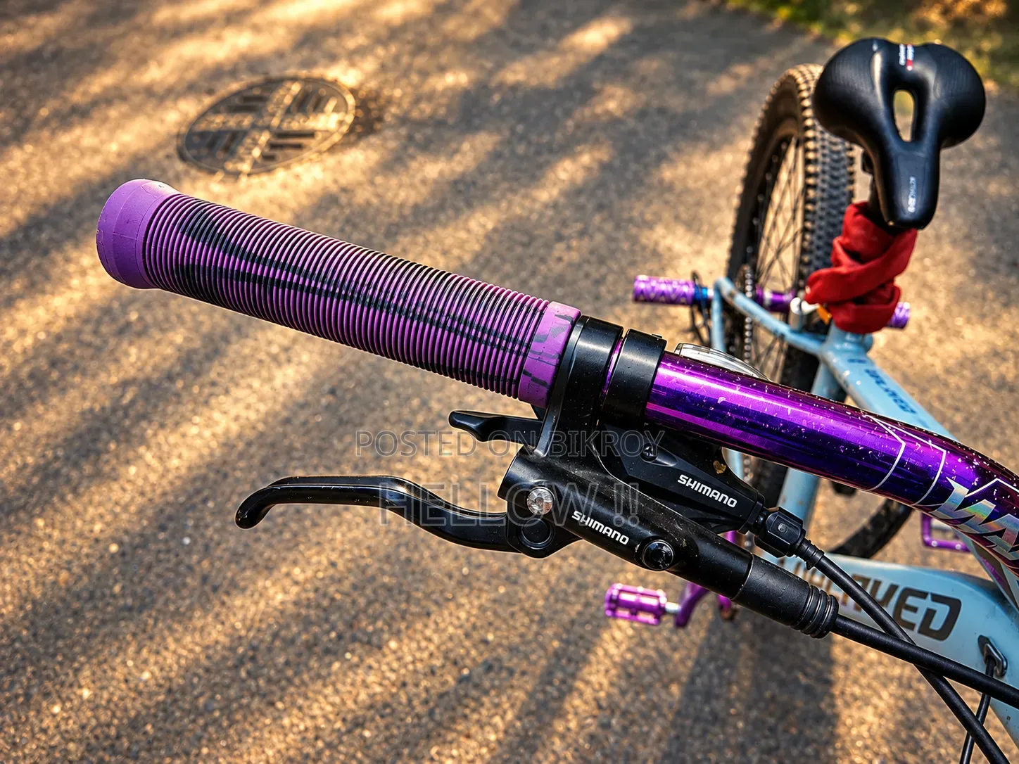 "UPLAYED" 26 Inch Cycle