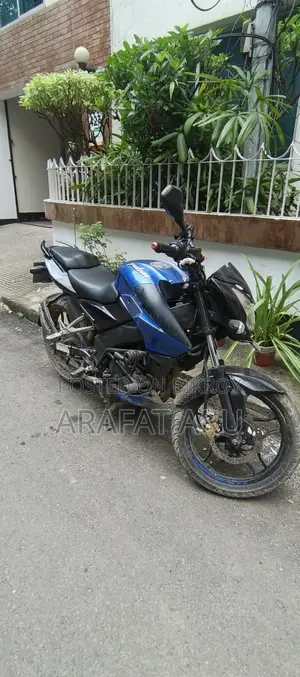 Bajaj Pulsar NS 160 2018 Blue
