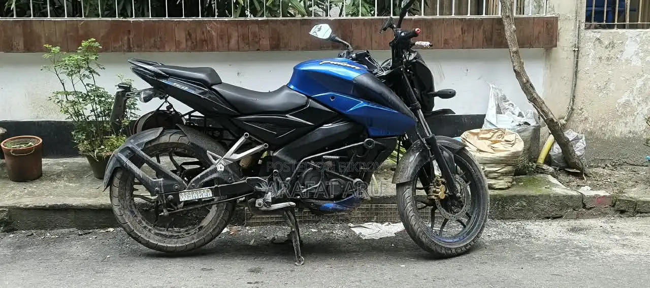 Bajaj Pulsar NS 160 2018 Blue