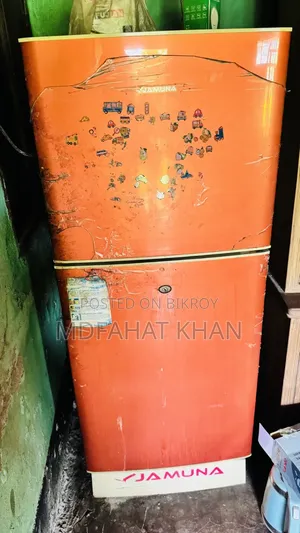 যমুনা ফ্রিজ
