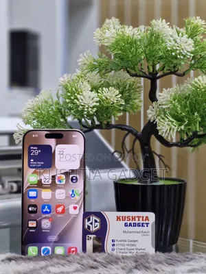 অ্যাপল আইফোন ১৬ প্রো ২৫৬ জিবি