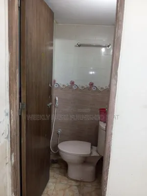 ফার্নিশড স্টুডিও অ্যাপার্টমেন্ট আজকেই উঠা যাবে, মিরপুর ভাড়ার জন্য