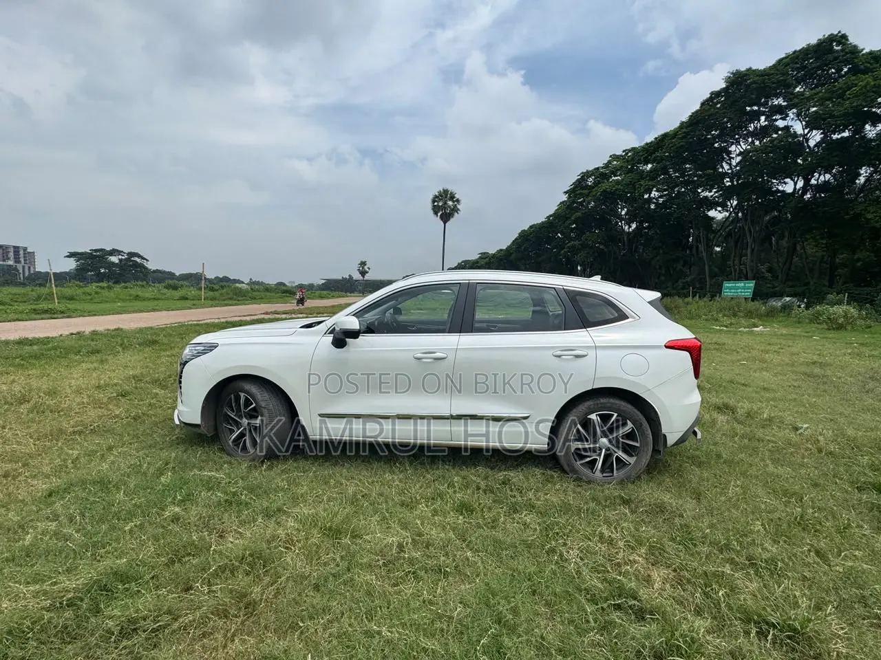 হভাল জোলিয়ন ২০২১ পার্ল