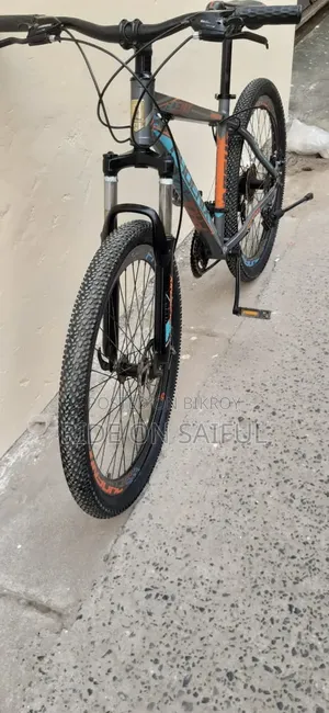 ফিনিক্স আর্গাস ১০০% নতুন কন্ডিশন বাইসাইকেল
