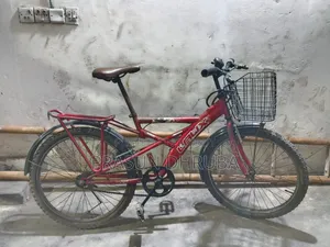 Non Gear Bicycle