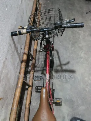 Non Gear Bicycle