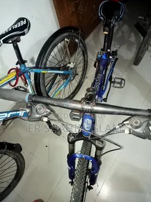 24 Inch Cycle