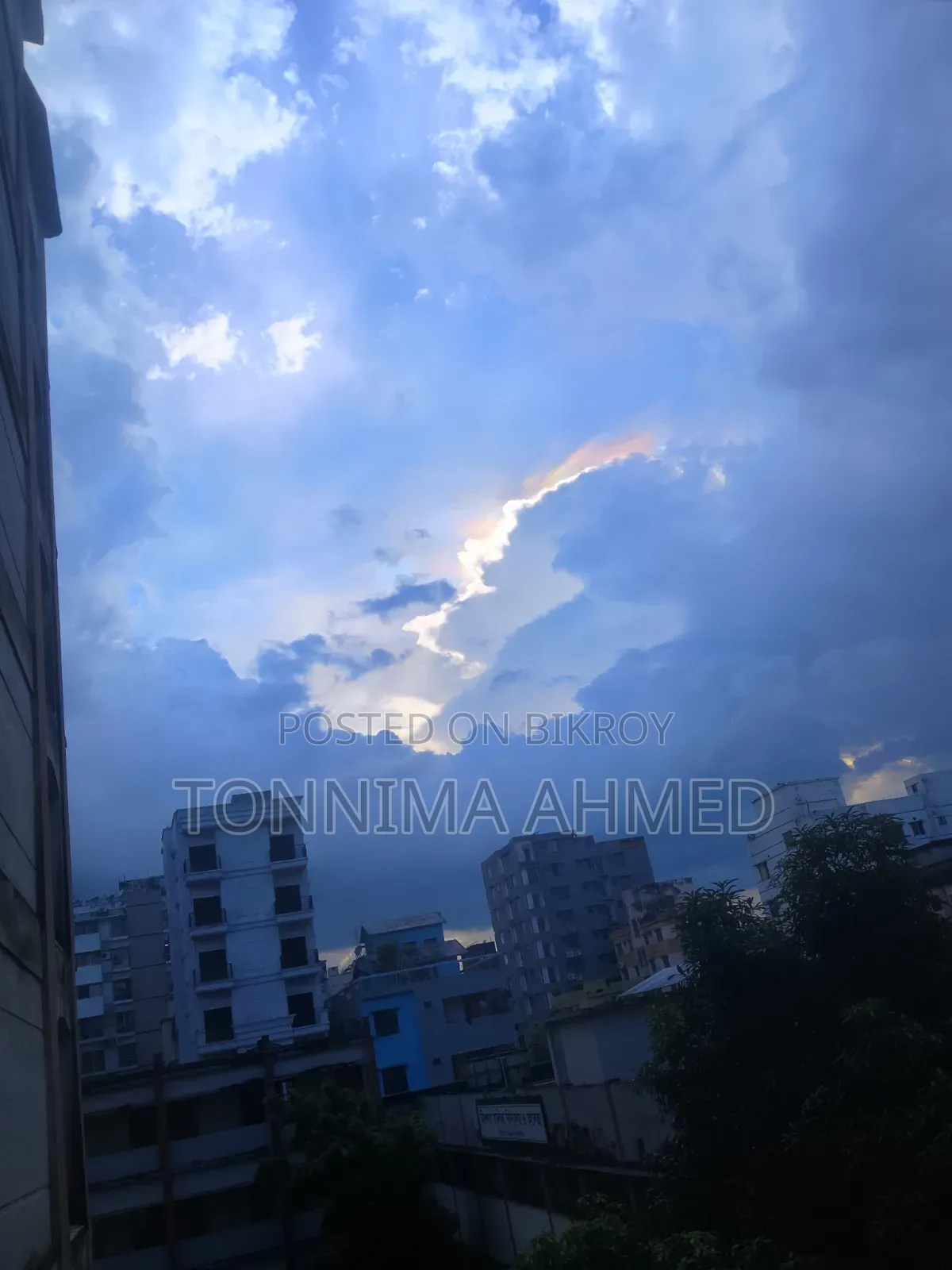 বিজলী মহল্লা এফ, মোহাম্মদপুরে ১ বেডরুমের রুম ও পার্লার ভাড়ার জন্য