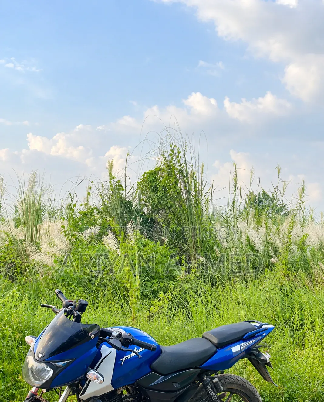Bajaj Pulsar 150 2013 Blue