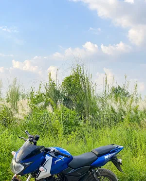 Bajaj Pulsar 150 2013 Blue