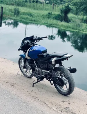 Bajaj Pulsar 150 2013 Blue