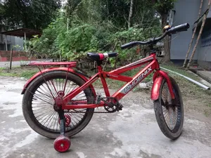বেবি সাইকেল বিক্রি (Phoenix) ২০ সাইজ