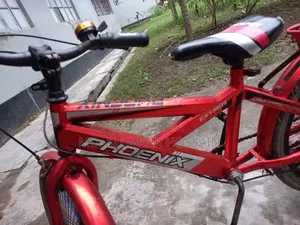 বেবি সাইকেল বিক্রি (Phoenix) ২০ সাইজ