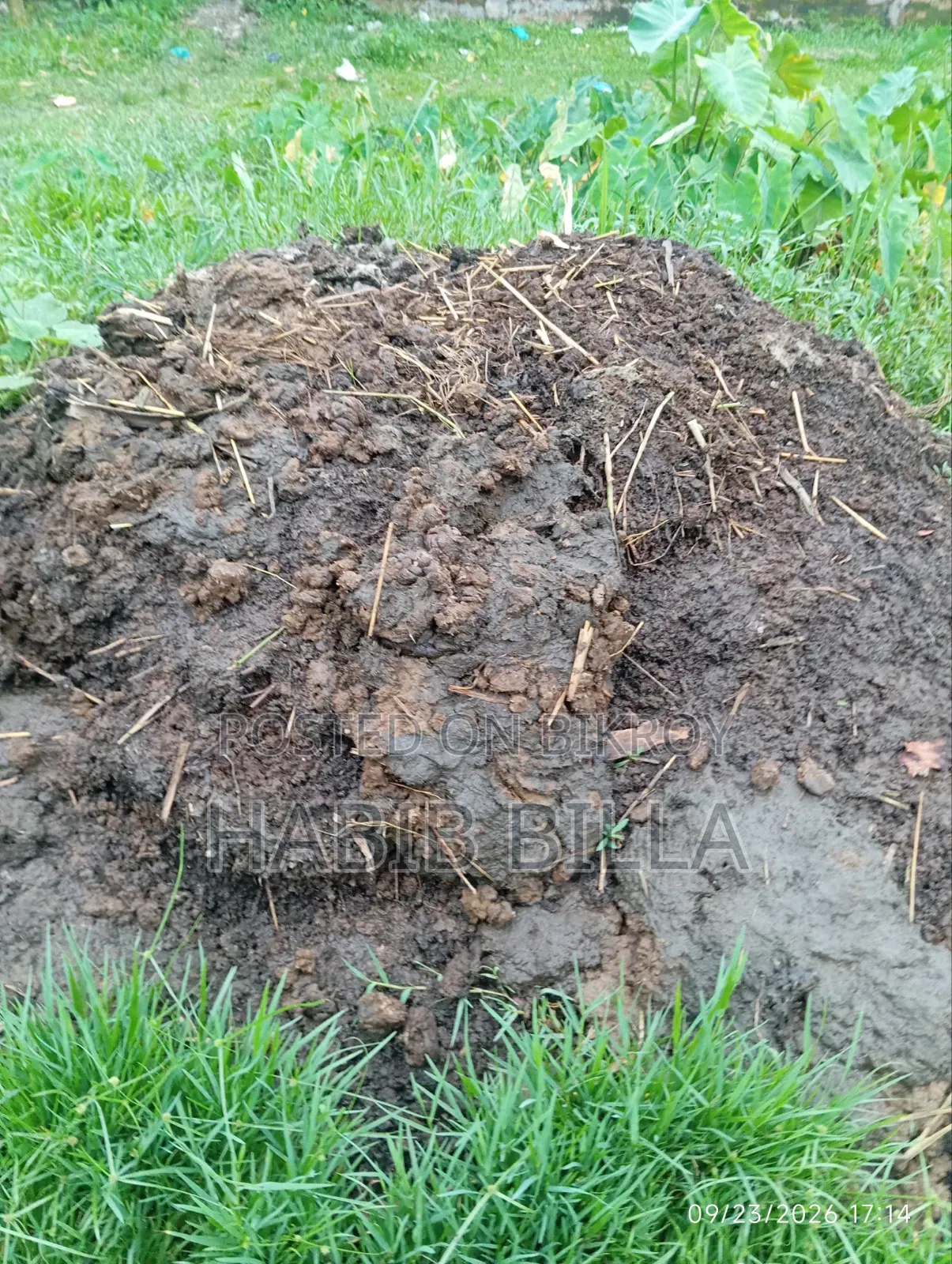 Cow dung fertilizer for sale, interested buyers must call
