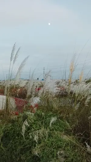 বসুন্ধরা পি ব্লক ৩ কাঠা দক্ষিণ জমি বিক্রয়ের জন্য