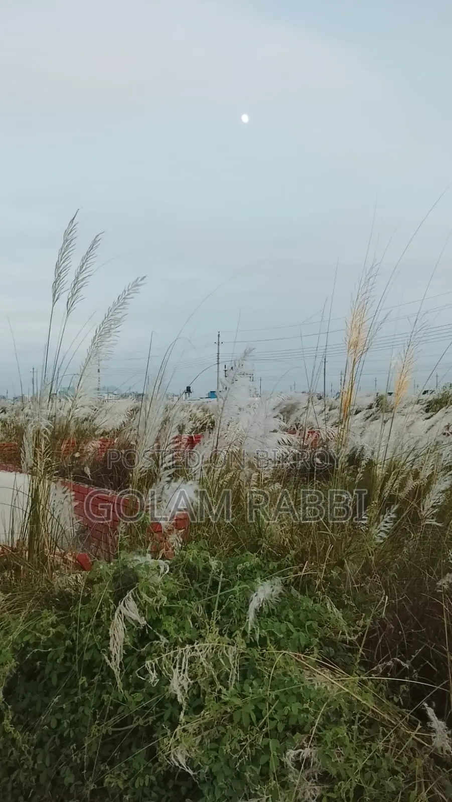 বসুন্ধরা পি ব্লক ৩ কাঠা দক্ষিণ জমি বিক্রয়ের জন্য