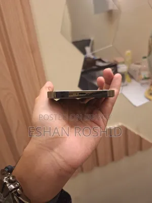 অ্যাপল আইফোন ১৩ প্রো ম্যাক্স ১২৮ জিবি গ্রাফাইট