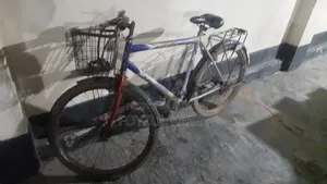 Old Bicycle