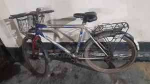 Old Bicycle