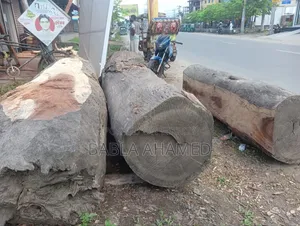 Wooden Log