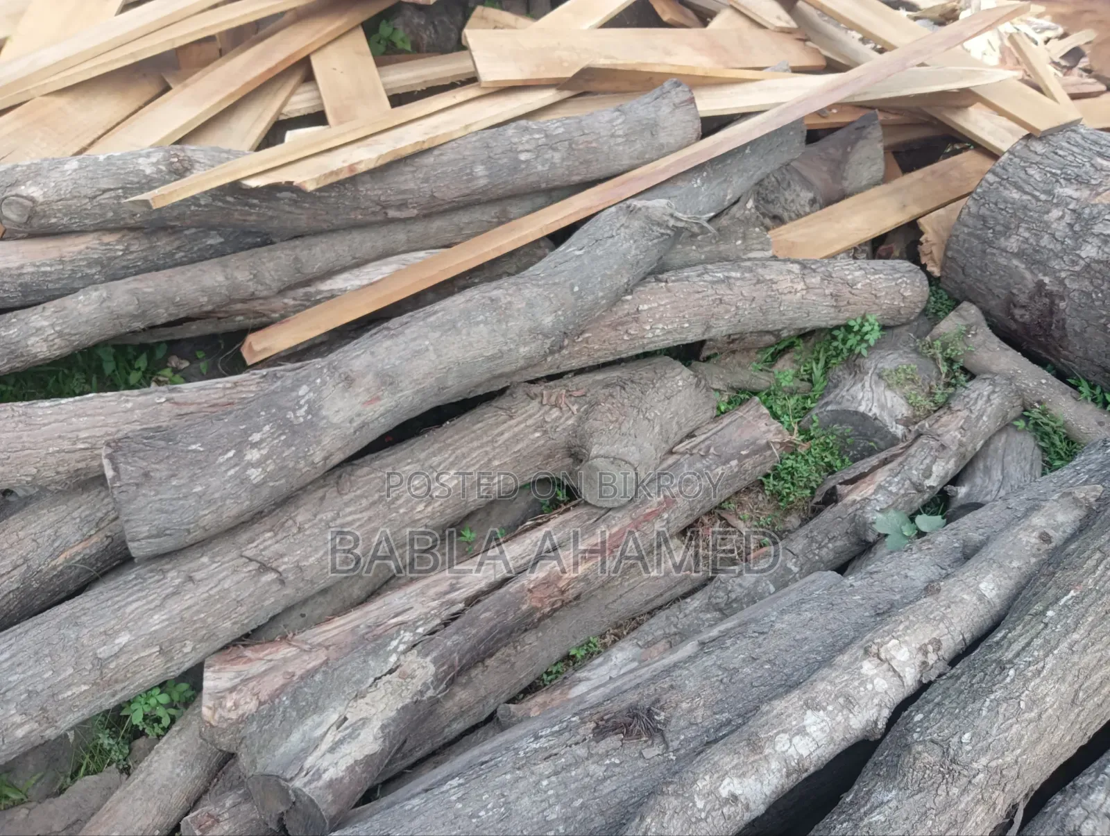 Wooden Log
